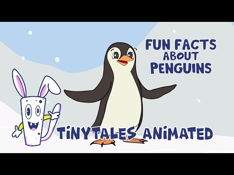 Let's know the animal | Penguin Facts for Kids | Fun Learning Video for Kids | Tinytales Animated
