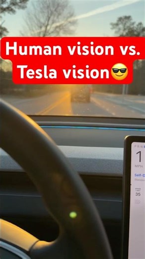 No more denial - your Tesla sees better than you