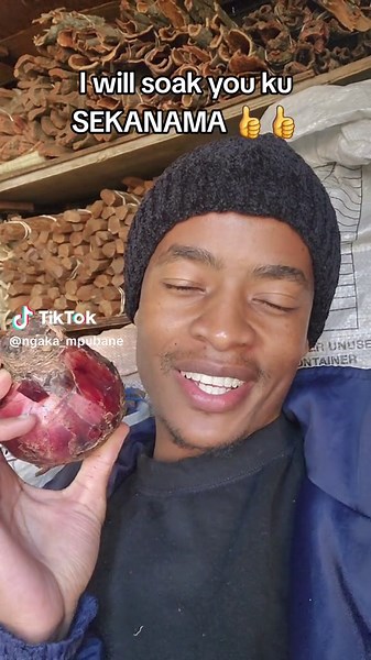 Traditional Medicine Benefits of Sekanama | The Beyamokone