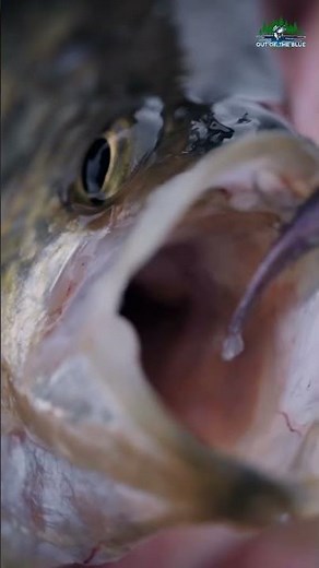 Humminbird HELIX | Find Structure Fast and Fish Smarter