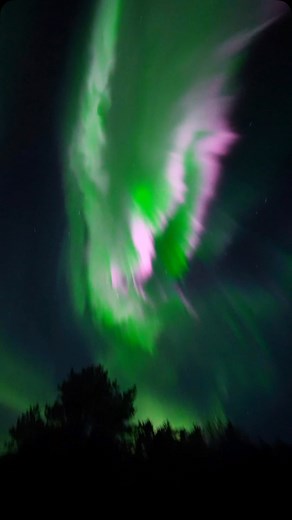 4.2K views · 10K reactions | ⸻ Why hunt the aurora with me in autumn?  Because it’s pure magic: ✨ Open lakes = perfect reflections  Not too cold = no frozen fingers  More stars, more colors, more peace  Wild roads, golden forests, zero crowds This is the real Lapland, raw and glowing. Let’s chase the northern lights before winter takes over ❄️ #AuroraChasing #AutumnVibes #LaplandMagic | Lorenzo Mirandola | Facebook