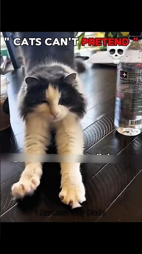 Cats can't Pretend 💀