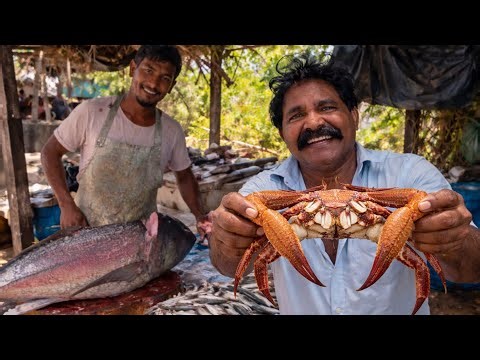 තෙල් මිල නිසා මාළු මිලට වෙලා තියෙන දේ| යුද්ධය නිසා මාළු මිල වැඩි වෙලාද? #fishingvideo #fishinglife