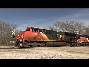 CN Freight Train - Salem Road