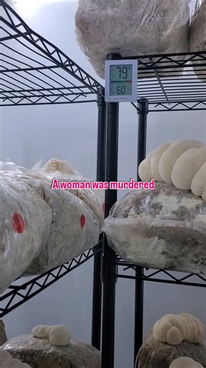 Traveling Cap Mushroom Co. on Instagram: "She loved her neighbor as she loved herself, and ICE killed her for it. Folks, it has taken an inconceivable amount of restraint not to use my business platform for political soapboxing - especially as a social worker, an Eagle Scout, and an ordained minister. And so this will be an professionally irresponsible post a long time in the making - The first time I learned about our president's sexual assault history was while I was looking up a client on the