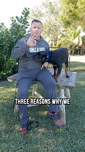 7.8M views · 211K reactions | 3 Reasons Rottweiler Are No Longer Police Dogs #rottweiler #dog #dogs #puppy #rottweilersoftiktok #fyp | American Standard Dog Training | Facebook