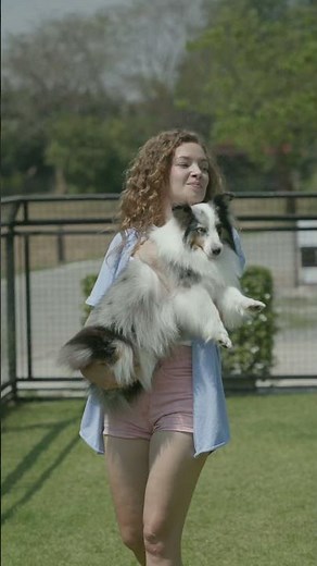 Lady with her Dog-Dog videos