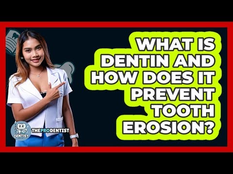 What Is Dentin And How Does It Prevent Tooth Erosion? - The Pro Dentist