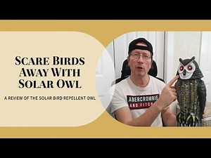 Solar Bird Repellent Owl PIR Sensor With Flashing Eyes & Realistic Sound, Rotating Head Full Review