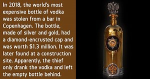 10 Craziest Theft Stories that Will Leave You in Stitches