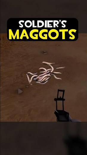 SOLDIERS MAGGOTS 🪱 #tf2 #WeRuined #tf2memes #sfm #memes