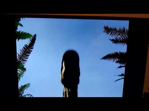 Opening to Chased by Dinosaurs 2004 DVD