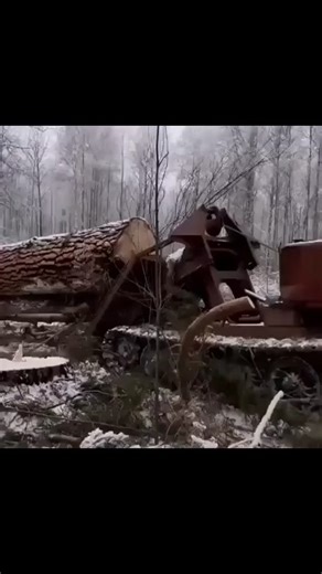 Russian Trucks on Instagram: "Soviet TT-4 Tracked Logging Tractor overcomes all obstacles in the forest and does its job at its best.. 😮😮 #tractores #tractors #tractor #tractorporn #tractorlove #tractorlife #agriculture #agricultural #ussr #cccp #agricultores #reels #kirovetstractors #agricultura #agriculteur #agricoltura #agricultor #agriculturelife #agro #russia #madeinsovietunion #sovietunion"