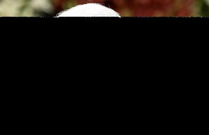 Queen Elizabeth II: ESL/EFL Lesson Plan and Worksheet