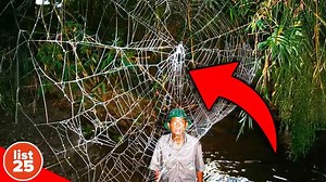 25 Facts That Will Blow Your Mind In One Sentence