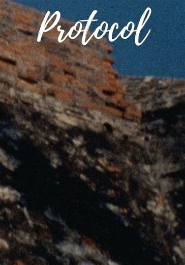 Protocol streaming: where to watch movie online?