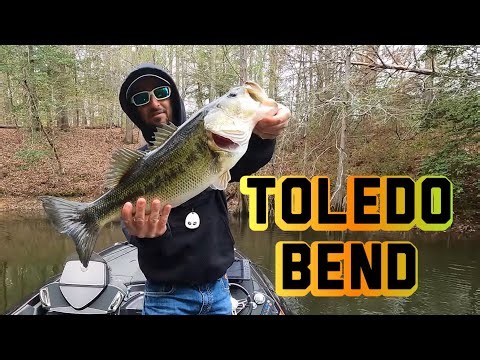 Toledo Bend Bass Spawn