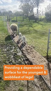 Anxious about where to keep your young stock safe from the relentless mud? Choose Mudcontrol slabs to create instant hard-standing wherever you need it 🐑🌷❤️☀️ | Mudcontrol