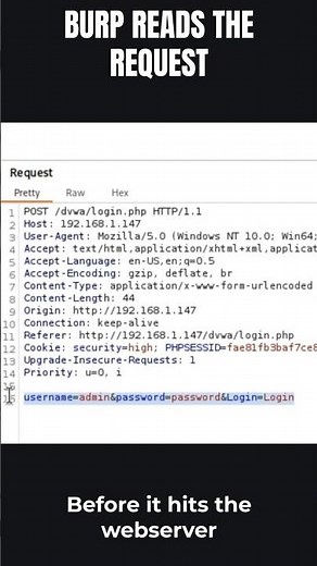 How Burp Suite Intercepts HTTP Traffic