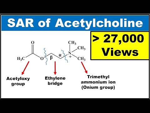SAR of Acetylcholine (SAR of Parasympathomimetics) (Explained with structures)