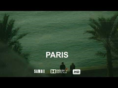 Sad Emotional Afrobeat Instrumental 2026 "PARIS" Dancehall Afro Soul Type Beat