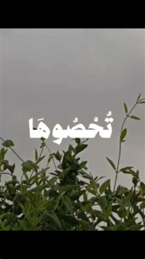 #القرآن_الكريم #استغفر_الله #ارح_سمعك_بالقران #أذكروا_الله #اللهم_صل_وسلم_على_نبينا_محمد #ارح_قلبك