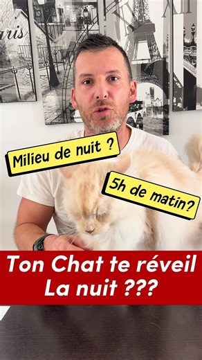 3 Conseils à suivre si ton chat te réveil durant la nuit ou très tôt le matin pour dormir tranquillement