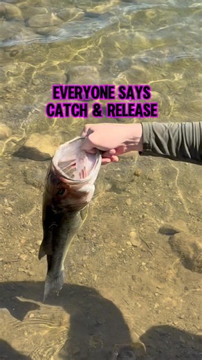 Catch-And-Release LIE - Why Most Bass DON’T Survive! 🎣 #bassfishing #catchandrelease