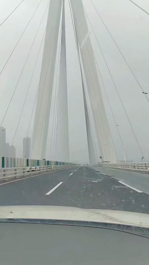 Cleaning of cables on bridge | Highway Engineering Discoveries