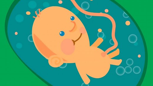 18K views · 483 reactions | La mesure de la clarté nucale est un examen réalisé lors du premier trimestre de la grossesse. Il permet d'estimer le risque de trisomie du fœtus. | Docteur Ahmed SKHIRI Gynecologue | Facebook