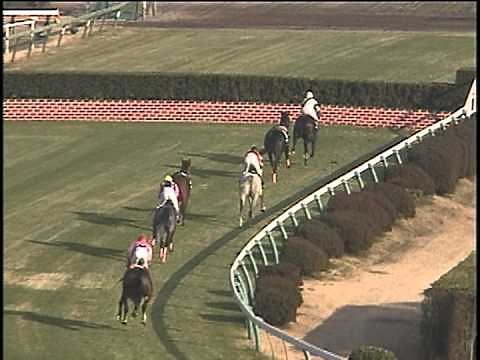 中山大障害・秋 1996年 ポレール
