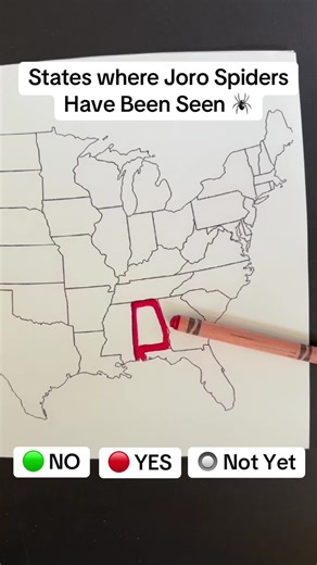 Joro Spiders Sightings Across the 50 States