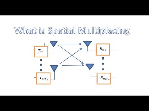 What is Spatial Multiplexing?