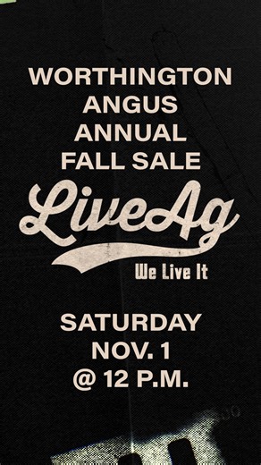 147 reactions · 20 shares | Consistency. Discipline. Profit-focused genetics. That’s what drives the program at Worthington Angus Join us this Saturday, November 1, for the 7th Annual Worthington Angus Fall Sale — offering 100 coming 2-year-old bulls, 50 females, and 75 commercial bred heifers.  Worthington Angus | 12PM CST  Register to bid here: https://heyor.ca/0R8IF7  Hear what Josh has to say about this year’s offering and what sets their program apart. | LiveAg | Facebook