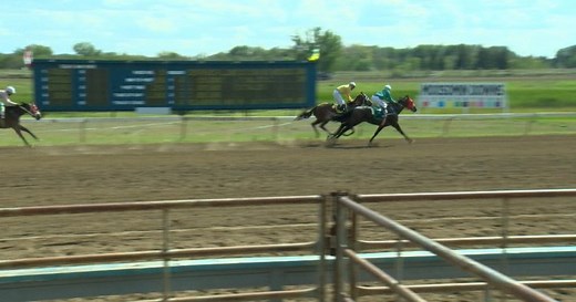 Horse racing returns for one last gallop to the finish line at Marquis Downs