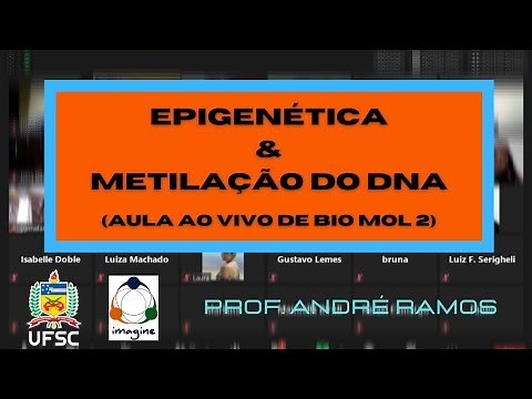 Epigenetics and DNA methylation