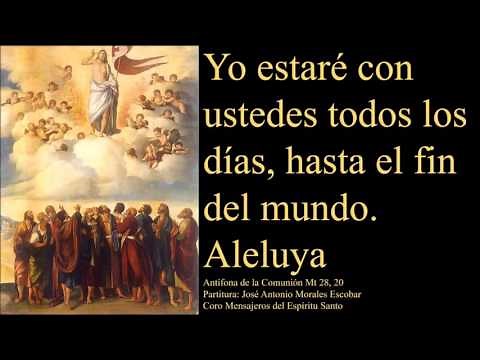Yo estaré con ustedes todos los días hasta el fin del mundo Aleluya