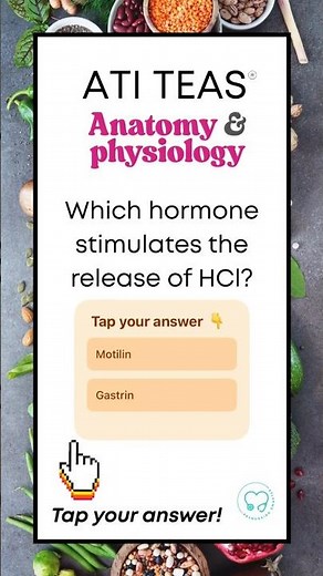 TEAS Science: Gastrointestinal System