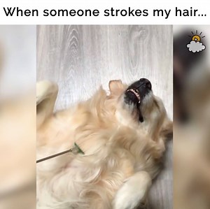 610K views · 2.4K shares | When someone strokes my hair... | LittleThings | Facebook