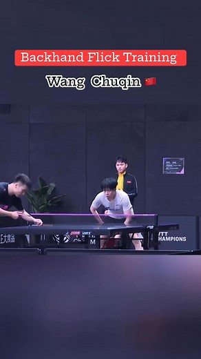 Backhand Flick Training 🏓💥 Wang Chuqin🇨🇳 #Wangchuqin #Backhand #Flick #Training #highlightseveryone #tischtennis #настольныйтеннис #bóngbàn #卓球 #탁구 #乒乓球 | Chonburi Table Tennis by ปิงปอง Sornanan ชลบุรี