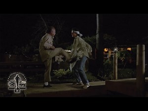KARATE KID (DANIEL YA SABE KARATE)