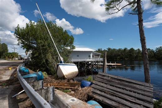 Why Are Wild Flamingos Flocking to Wisconsin, Ohio, and Other States?