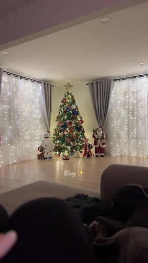 2.6K views · 13 reactions | ✨ LED Curtain Fairy Lights – Transform...