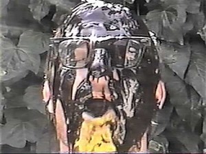 Tera Melos "The Skin Surf" (Official Video)