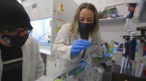 440 reactions · 95 shares | Groundbreaking research at UNC Pembroke is uncovering remarkable findings on the impact of traumatic brain injury on the rate of developing neurological disorders and possible pathways for the next generation of scientists to discover new cures. #TheInnovatorsNC | PBS North Carolina | Facebook