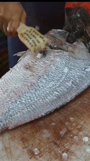 Fillet Porgy Fish Cleanly – No Bones Left! 🐟 part 2 #FilletPorgyFish #PorgyFishRecipe #FishFillet | Brooztarin 20