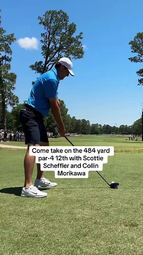 #GolfLife #TeeTime #SwingIntoSpring #GolfAddict #FairwayFriends | Other video