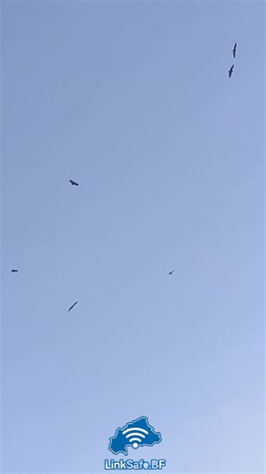 Nous sommes disponibles pour toute installation Wi-Fi zone.. starlink standard comme mini.. partout🇧🇫 #wifizone #starlink #ouagadougou #bukinafaso🇧🇫