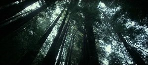 Première bande-annonce pour Big Sur de Michael Polish