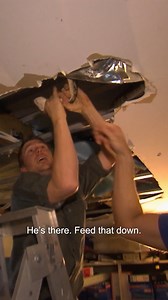 900K views · 16K reactions | Dr Chris wrangling HUGE 22-feet-long Python! | Bondi Vet | Facebook